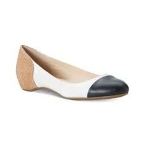 Calvin Klein Caela Ballet Flat Wave Fish Size 8.5M